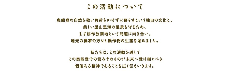 活動について