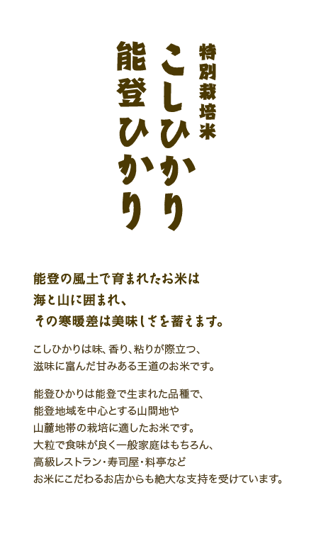 特別栽培米：こしひかり／能登ひかり